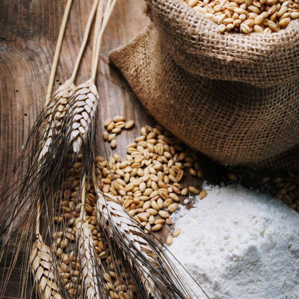 glycospot bakery and cereals food and beverages page 1024x1024