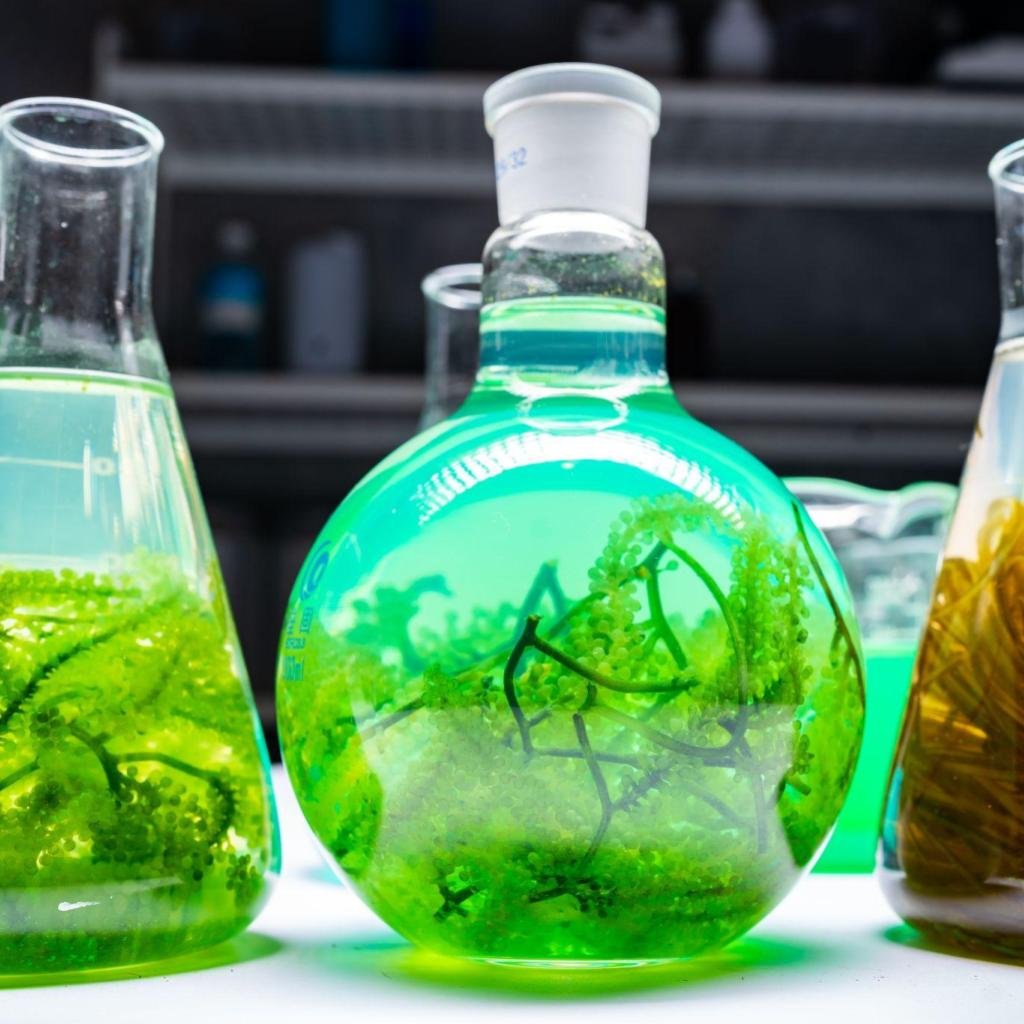 glycospot bio diesel bio renewables page 1024x1024