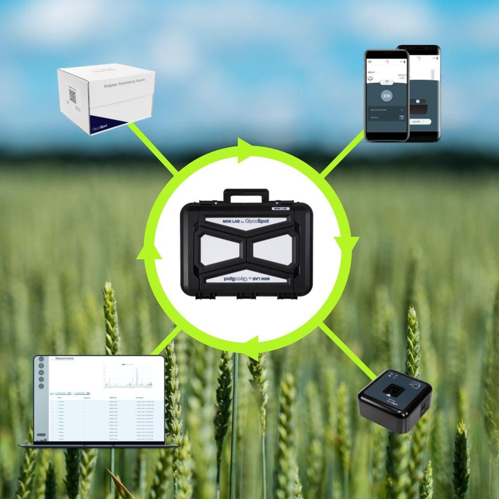 glycospot the four elements 1024x1024 1.jpg