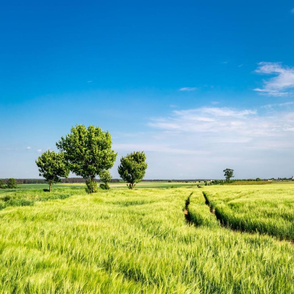 glycospot you get about page 1024x1024