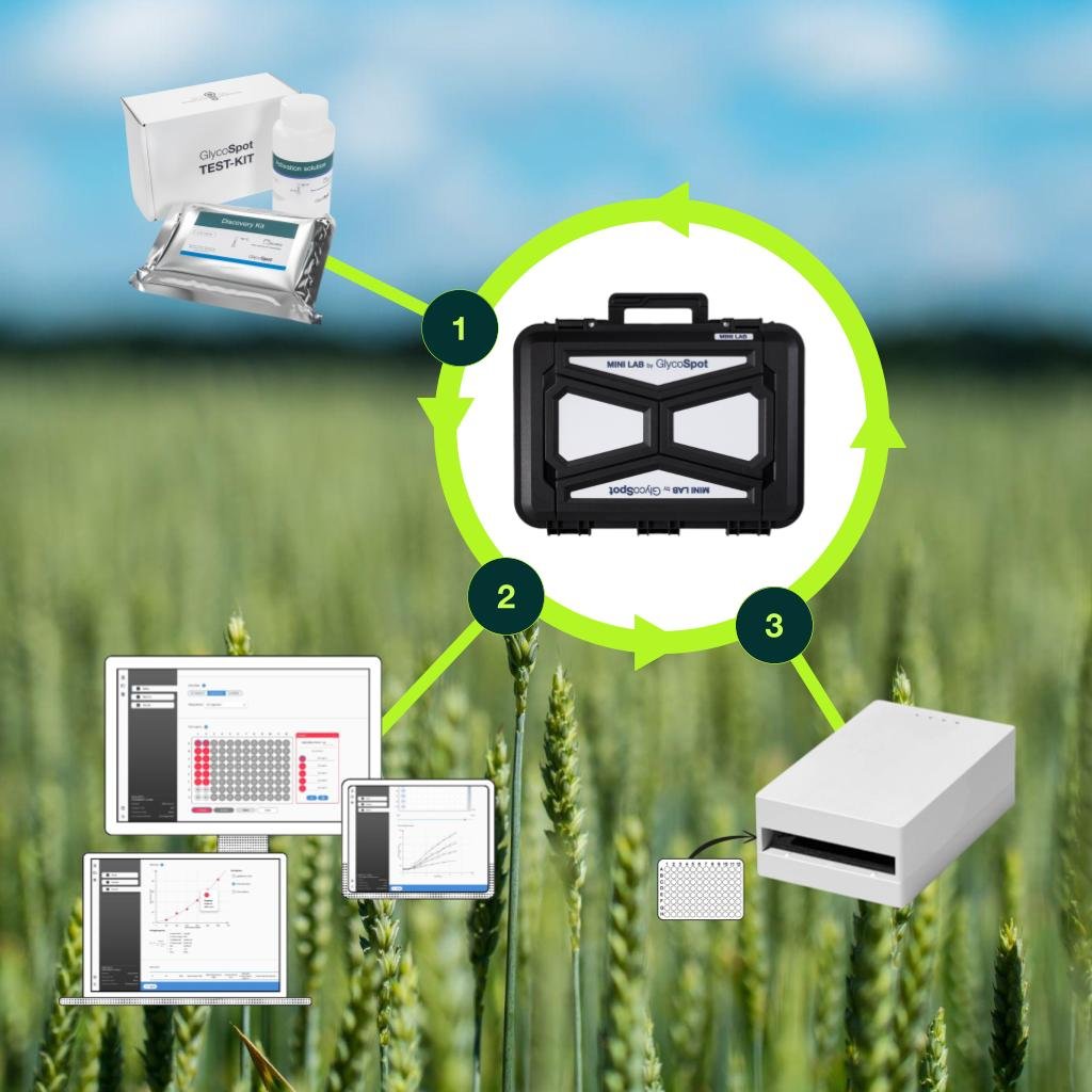 glycospot 1 3 elements 1024x1024