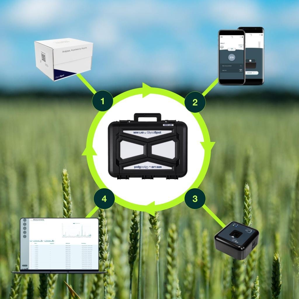 glycospot 1 4 four elements 1024x1024 1.jpg