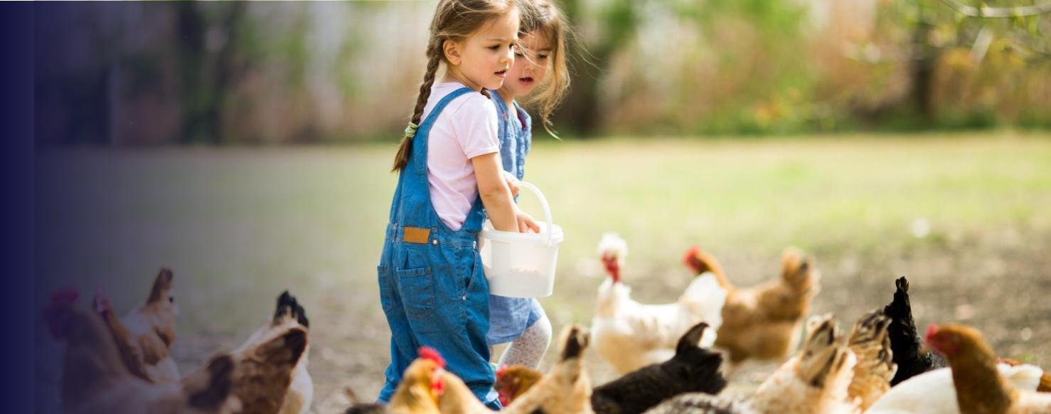 gs hero image animal feed biosolution#2