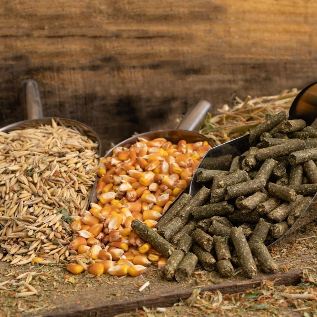 glycospot animal feed and biosolutions page 1024x1024