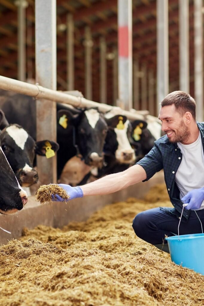 glycospot explanatory paragraph animal feed page 1707x2560